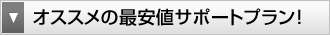 オススメの最安値サポートプラン！