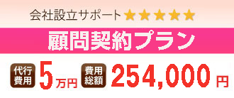 会社設立サポート 5つ星 完全０円プラン　代行費用 ０円 費用総額 202,000円